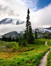 Photo of a trail on Mt. Rainer